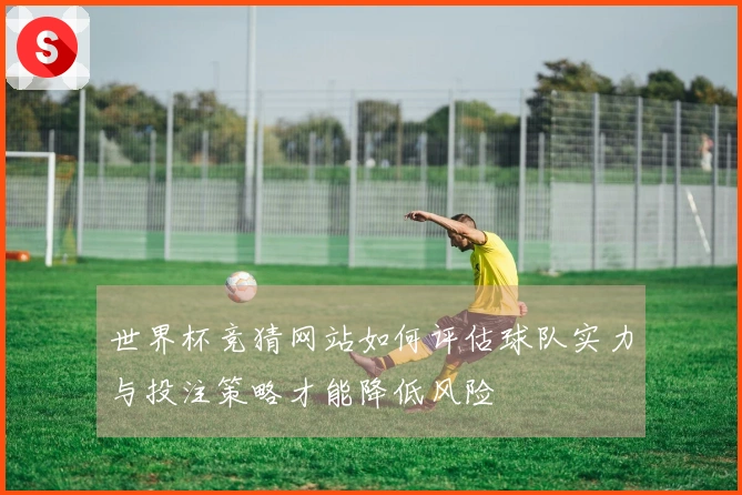世界杯竞猜网站如何评估球队实力与投注策略才能降低风险