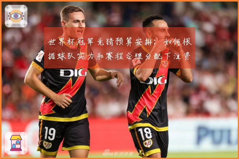 世界杯冠军竞猜预算安排：如何根据球队实力和赛程合理分配下注资金