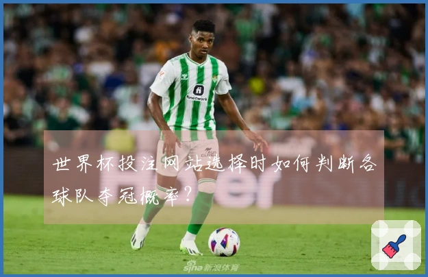 世界杯投注网站选择时如何判断各球队夺冠概率？