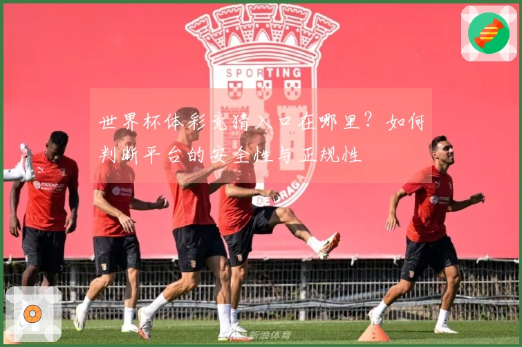 世界杯体彩竞猜入口在哪里？如何判断平台的安全性与正规性