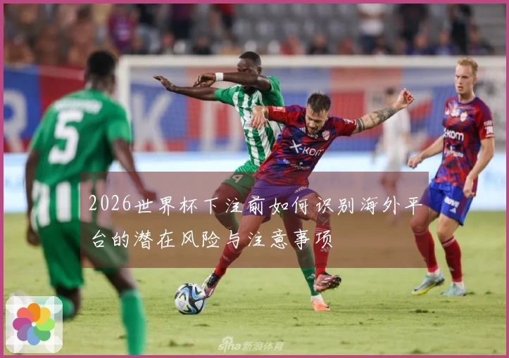2026世界杯下注前如何识别海外平台的潜在风险与注意事项
