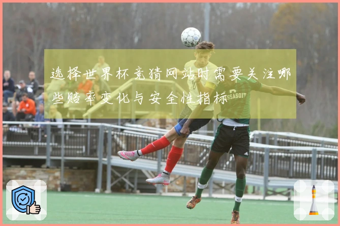 选择世界杯竞猜网站时需要关注哪些赔率变化与安全性指标