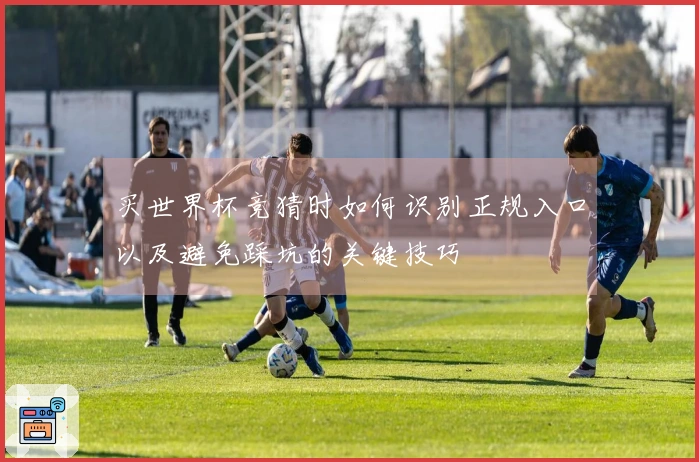 买世界杯竞猜时如何识别正规入口以及避免踩坑的关键技巧