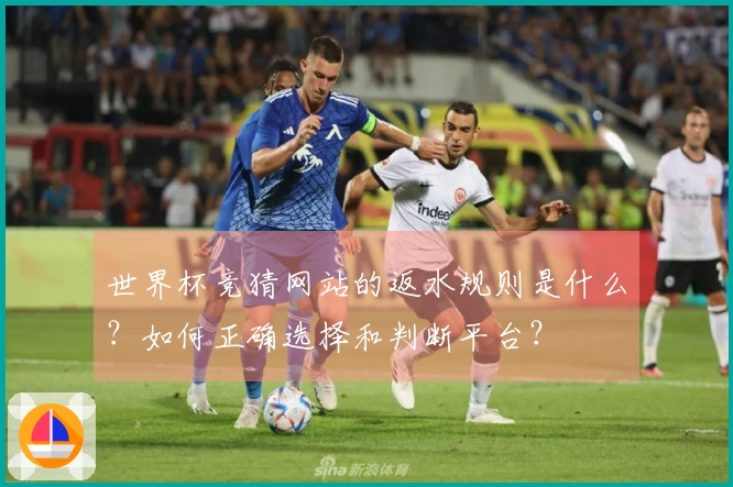 世界杯竞猜网站的返水规则是什么？如何正确选择和判断平台？