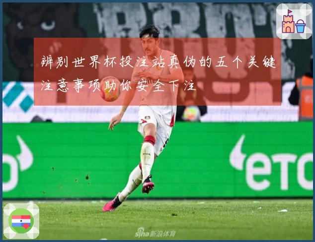 辨别世界杯投注站真伪的五个关键注意事项助你安全下注
