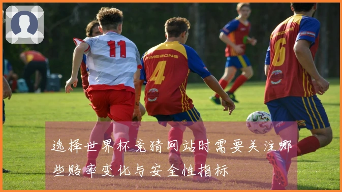 选择世界杯竞猜网站时需要关注哪些赔率变化与安全性指标