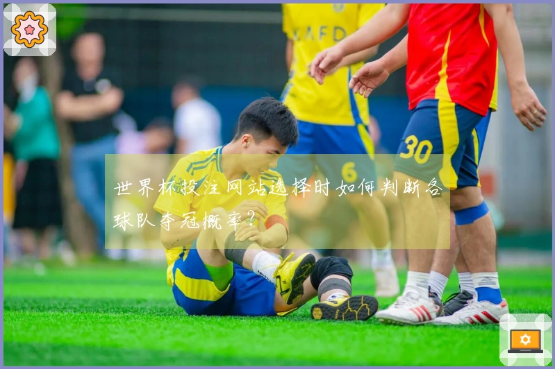 世界杯投注网站选择时如何判断各球队夺冠概率？