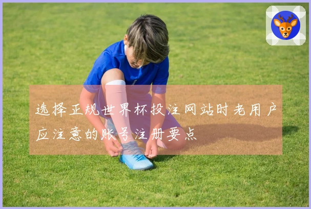 选择正规世界杯投注网站时老用户应注意的账号注册要点