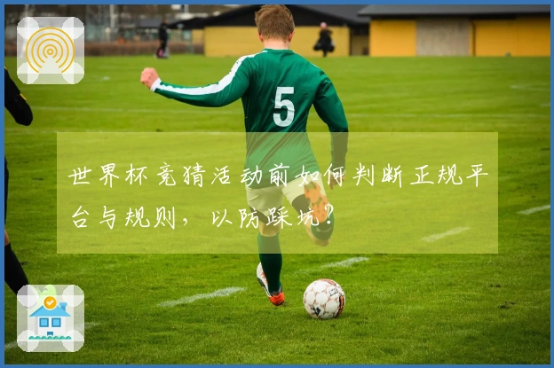 世界杯竞猜活动前如何判断正规平台与规则，以防踩坑？