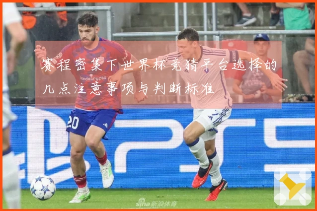 赛程密集下世界杯竞猜平台选择的几点注意事项与判断标准