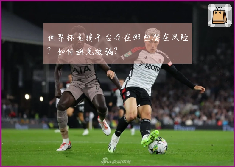 世界杯竞猜平台存在哪些潜在风险？如何避免被骗？