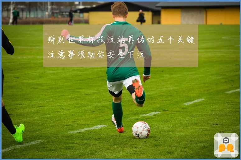 辨别世界杯投注站真伪的五个关键注意事项助你安全下注