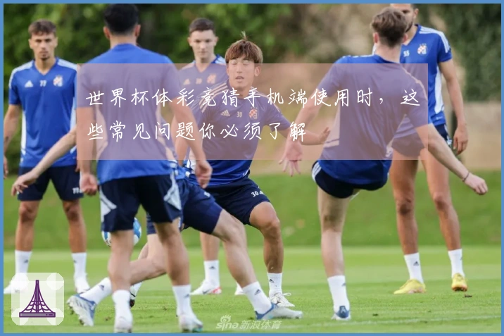 世界杯体彩竞猜手机端使用时，这些常见问题你必须了解