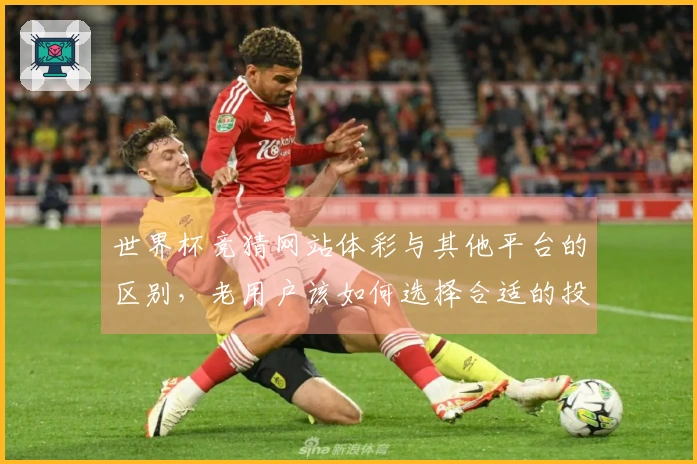 世界杯竞猜网站体彩与其他平台的区别，老用户该如何选择合适的投注渠道