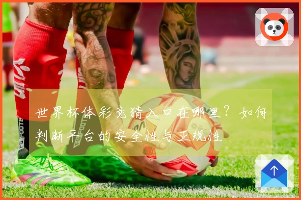 世界杯体彩竞猜入口在哪里？如何判断平台的安全性与正规性