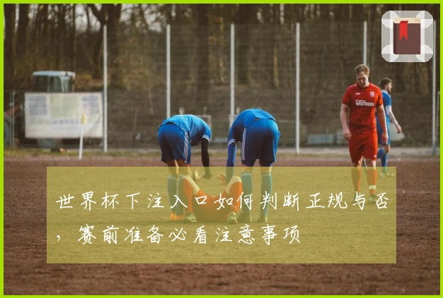 世界杯下注入口如何判断正规与否，赛前准备必看注意事项