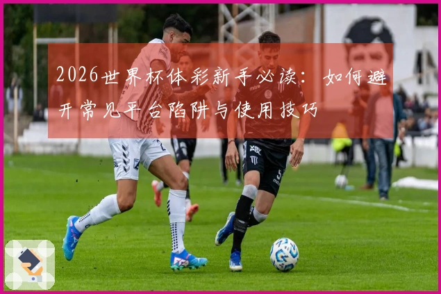 2026世界杯体彩新手必读：如何避开常见平台陷阱与使用技巧