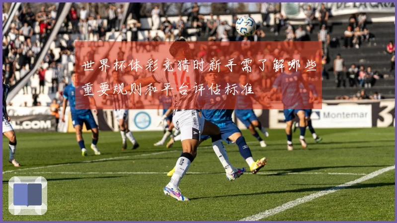 世界杯体彩竞猜时新手需了解哪些重要规则和平台评估标准