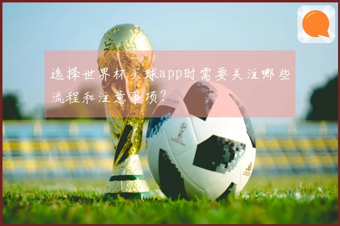 选择世界杯买球app时需要关注哪些流程和注意事项？