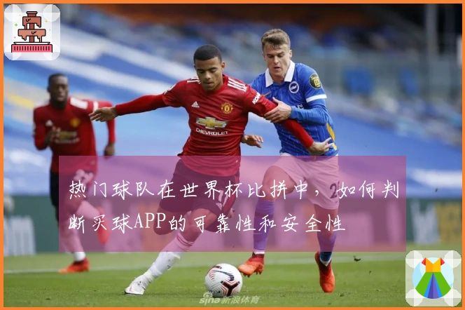 热门球队在世界杯比拼中，如何判断买球APP的可靠性和安全性